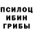Галлюциногенные грибы Cubensis Nekcho