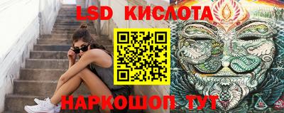 стаф Бийск