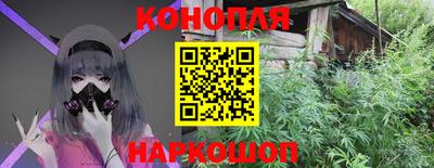 стаф Бийск