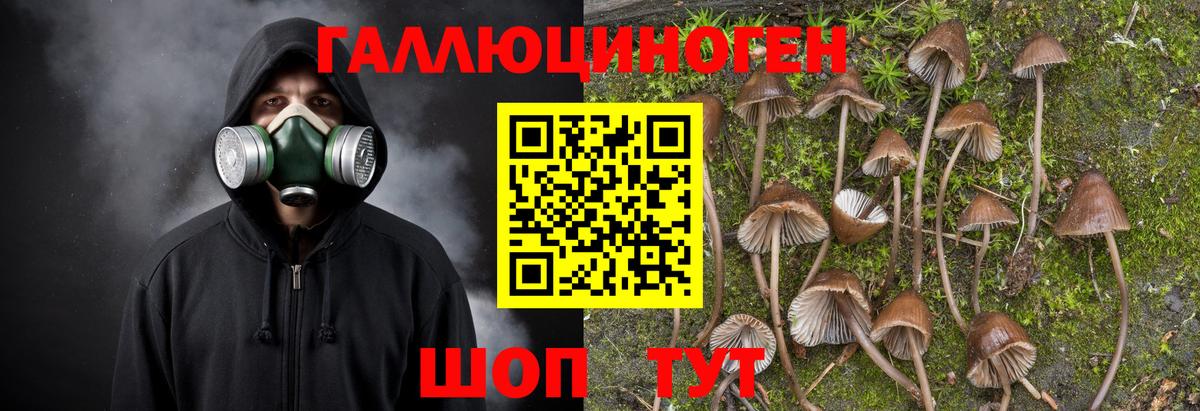 Псилоцибиновые грибы мухоморы Калуга