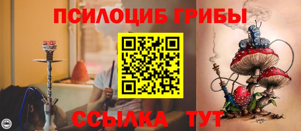 Галлюциногенные грибы Psilocybe Калуга