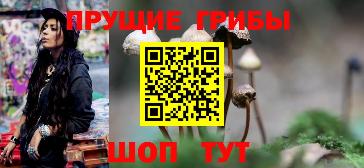 купить закладку  Вход с VPN  Калуга  Псилоцибиновые грибы мицелий 